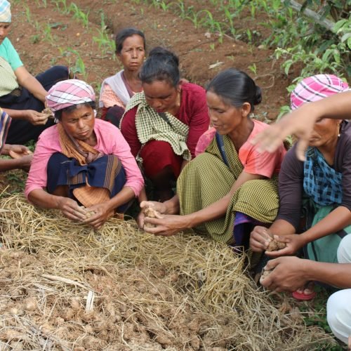 Farmer training on regenerative agriculture